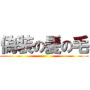 偽装の髪の毛 ()