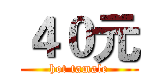 ４０元 (hot tamale)