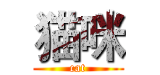 猫咪 (cat)