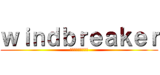 ｗｉｎｄｂｒｅａｋｅｒ (ウインドブレーカー)