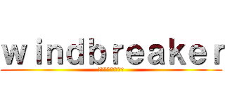 ｗｉｎｄｂｒｅａｋｅｒ (ウインドブレーカー)