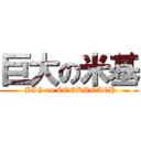 巨大の米基 ( BIG on COOKROACH)