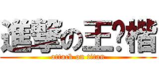 進撃の王钊楷 (attack on titan)