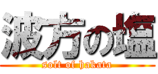 波方の塩 (solt of hakata)