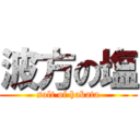 波方の塩 (solt of hakata)