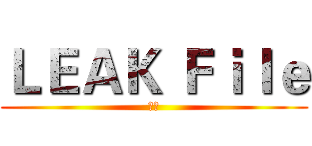 ＬＥＡＫ Ｆｉｌｅ (洩漏)