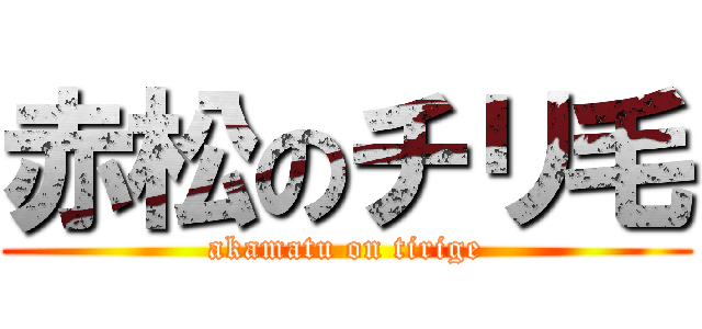 赤松のチリ毛 (akamatu on tirige)