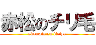 赤松のチリ毛 (akamatu on tirige)