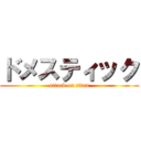 ドメスティック (attack on titan)