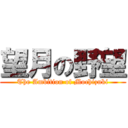 望月の野望 (The Ambition of Mochizuki)