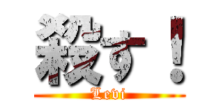 殺す！ (Levi)