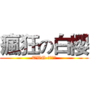 瘋狂の白櫻 (TWG-白櫻鬼舞)