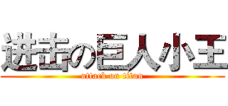 进击の巨人小王 (attack on titan)