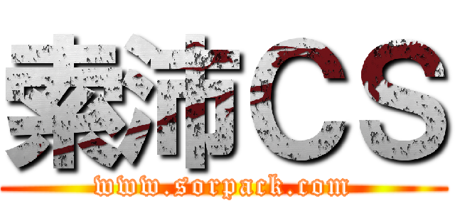 索沛ＣＳ (www.sorpack.com)
