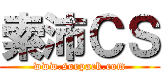 索沛ＣＳ (www.sorpack.com)
