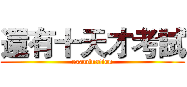 還有十天才考試 (examination)