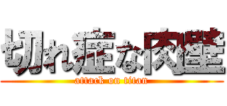 切れ症な肉壁 (attack on titan)