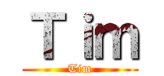 Ｔｉｍ (Tim)