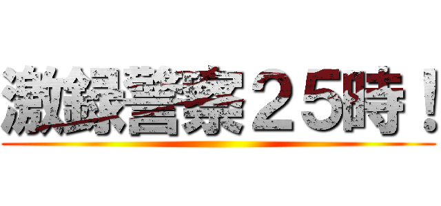 激録警察２５時！ ()