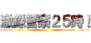 激録警察２５時！ ()