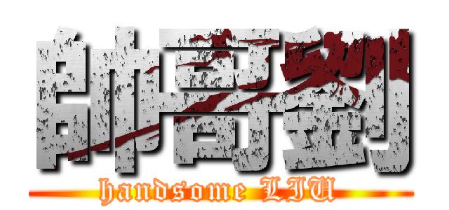 帥哥劉 (handsome LIU)