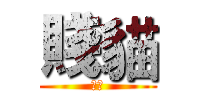 賤貓 (怪人)