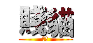 賤貓 (怪人)
