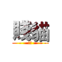賤貓 (怪人)