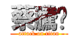 蔡騰熠 (attack on titan)