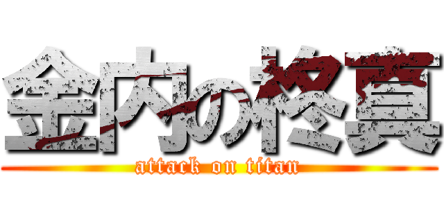 金内の柊真 (attack on titan)