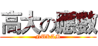 高大の應數 (NUKAM)