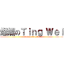 燦爛のＴｉｎｇ Ｗｅｉ (attack on TingWei)