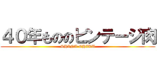 ４０年もののビンテージ肉 (SHINA-CHIKU)