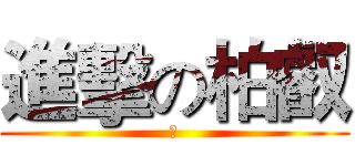 進擊の柏叡 (幹)
