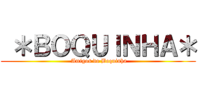  ＊ＢＯＱＵＩＮＨＡ＊ ( Amigos do Boquinha)