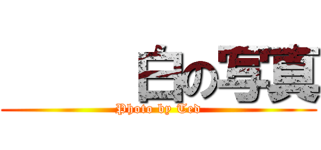      白の写真 (Photo by Ted)