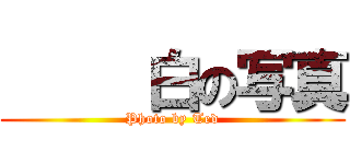      白の写真 (Photo by Ted)