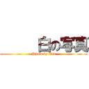      白の写真 (Photo by Ted)