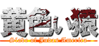 黄色い猿 (Slave of Judas America)