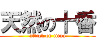 天然の十香 (attack on titan)