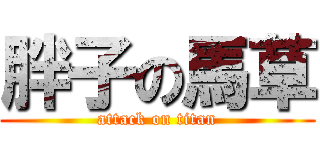 胖子の馬草 (attack on titan)