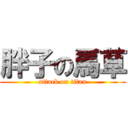 胖子の馬草 (attack on titan)