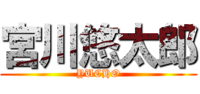 宮川悠太郎 (YUCHO)