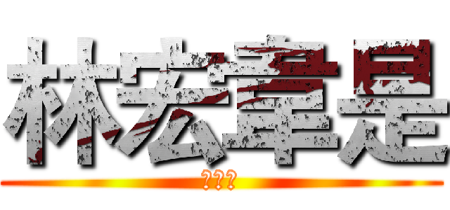 林宏韋是 (大帥哥)