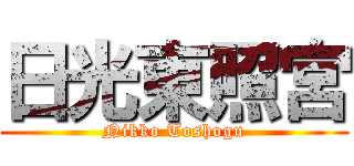 日光東照宮 (Nikko Toshogu)
