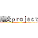 陽炎ｐｒｏｊｅｃｔ ()