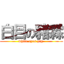 白目の豬霖 (white eyes pig )