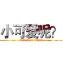 小可爱呢？ (attack on titan)