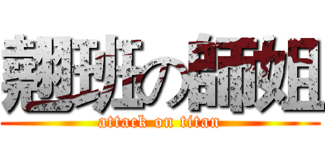 翹班の師姐 (attack on titan)