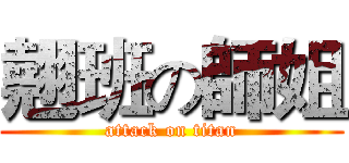 翹班の師姐 (attack on titan)